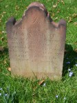 Written in Stone