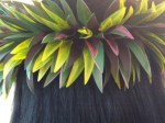 Hawaian adornment (2)