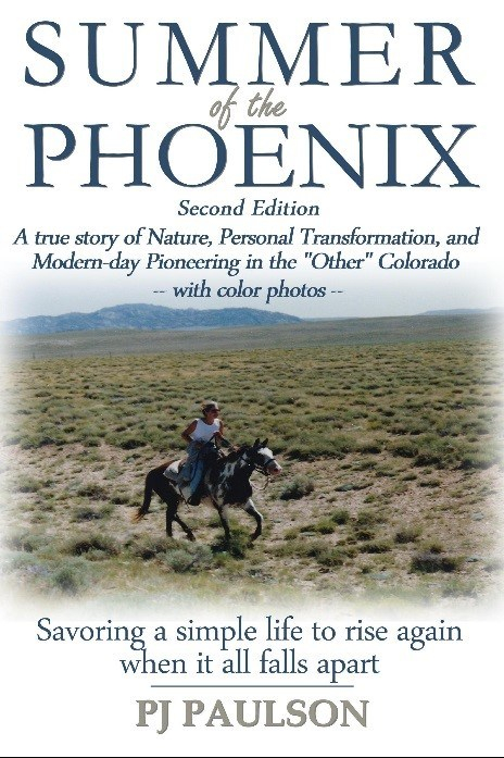 SummerOfThePhoenixCover_ColorPaperback