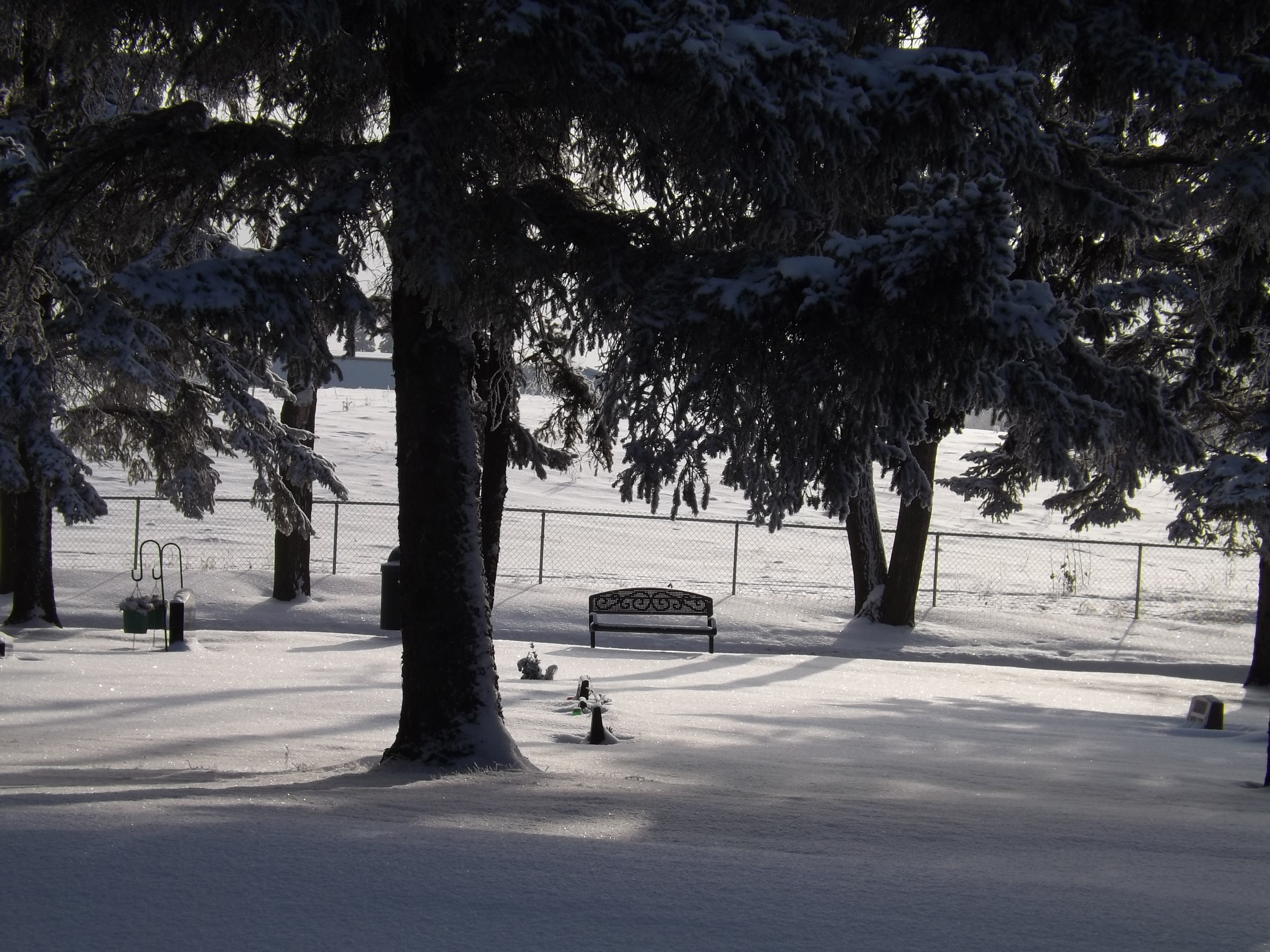 Cemetary, Blackfalds
