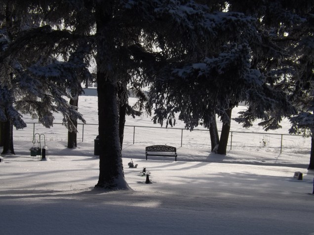 Cemetary, Blackfalds